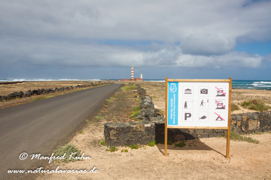 Fuerteventura (Spanien)_0128
