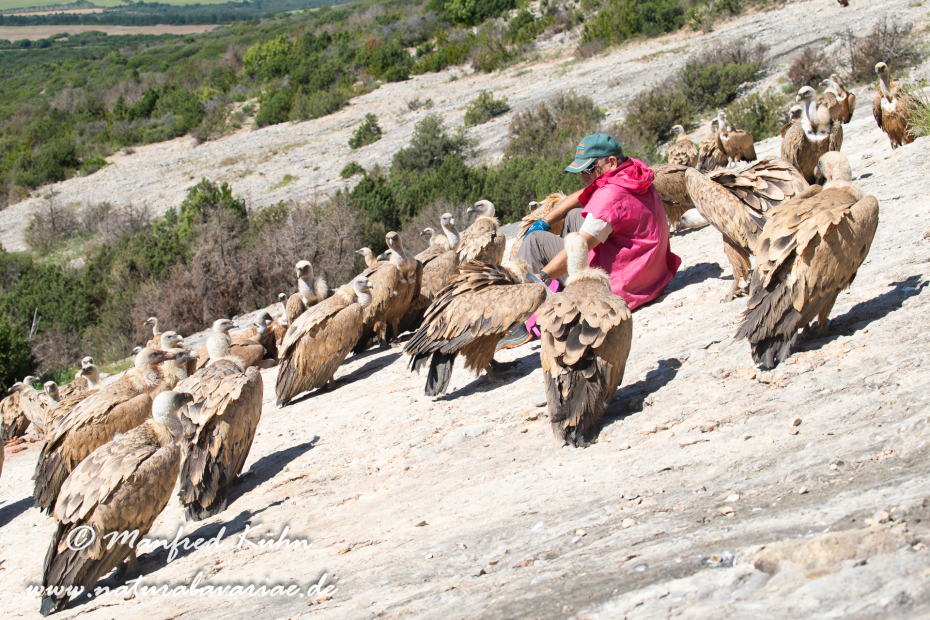 Sierra de Guara (Spanien)_0088