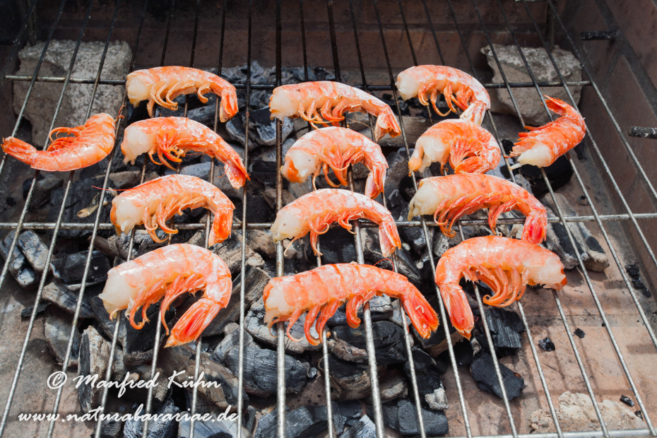 Ebrodelta (Spanien)_0289