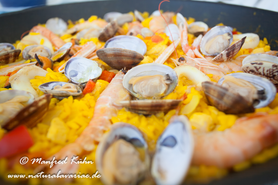 Ebrodelta (Spanien)_0290