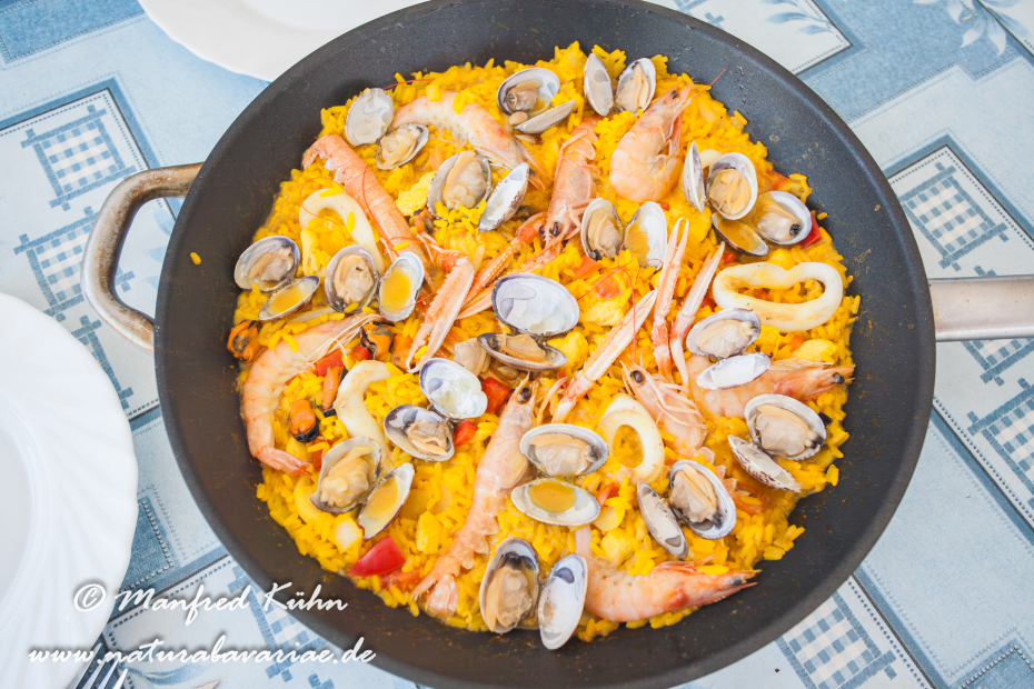 Ebrodelta (Spanien)_0292