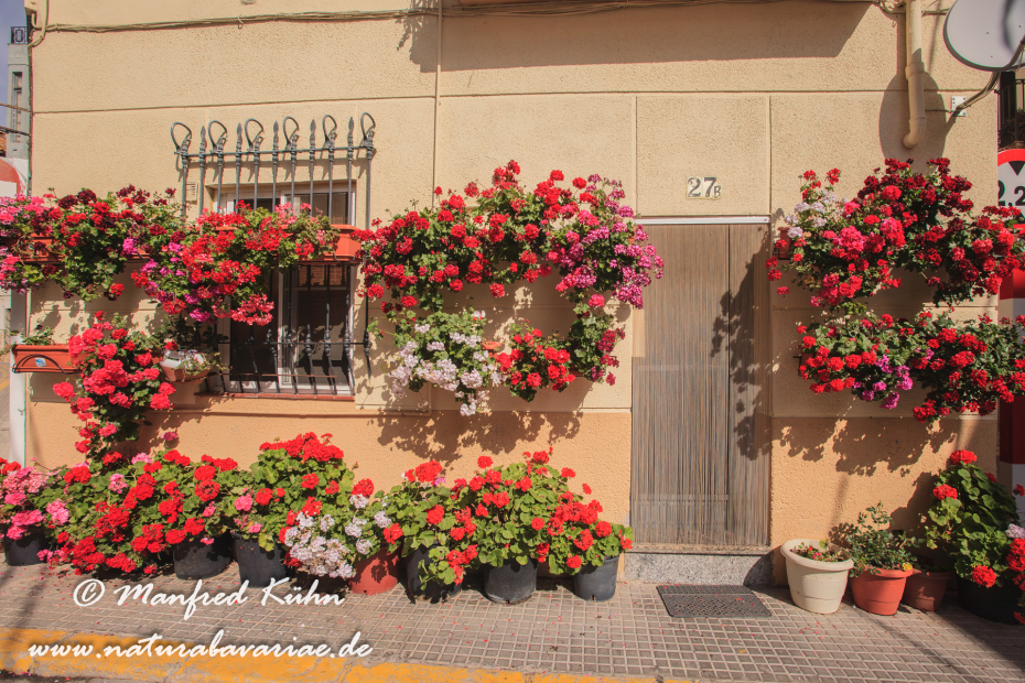 Ebrotal (Spanien)_0037