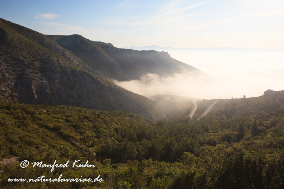 Ebrotal (Spanien)_0066