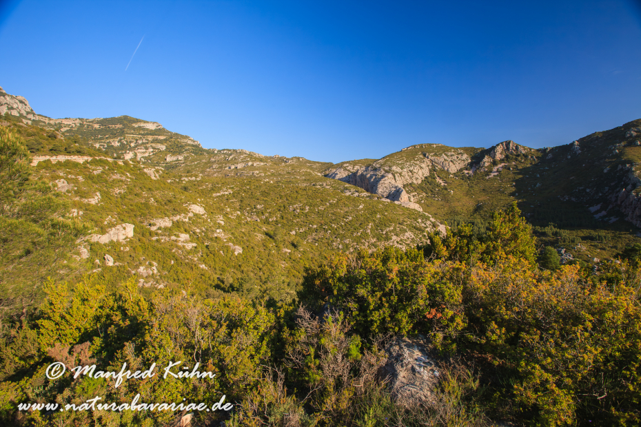 Ebrotal (Spanien)_0069