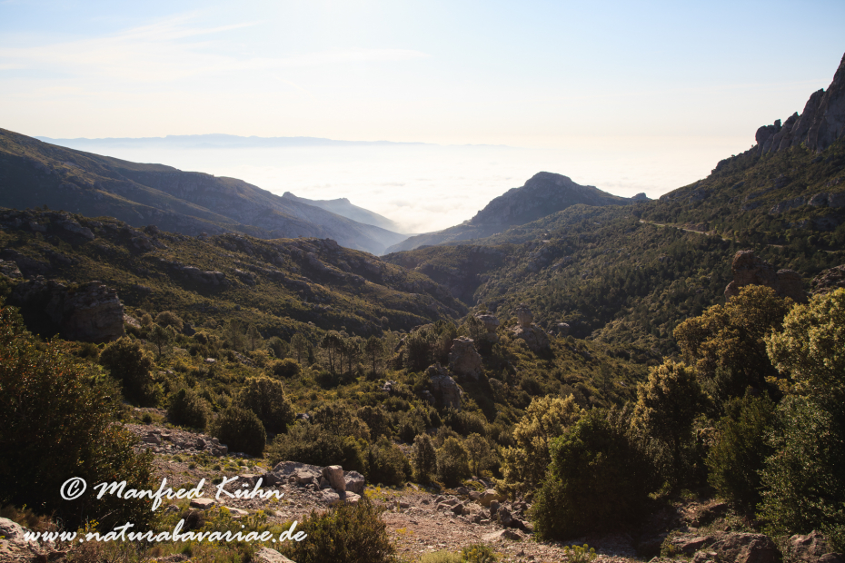Ebrotal (Spanien)_0075
