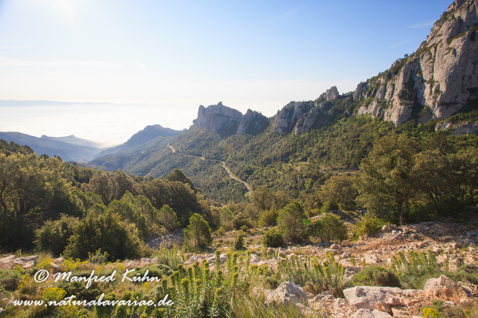 Ebrotal (Spanien)_0077
