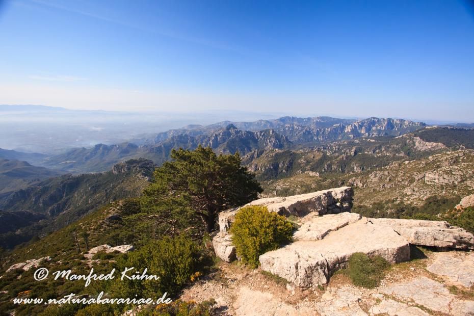 Ebrotal (Spanien)_0090