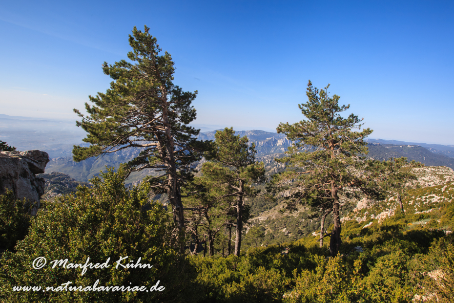 Ebrotal (Spanien)_0093