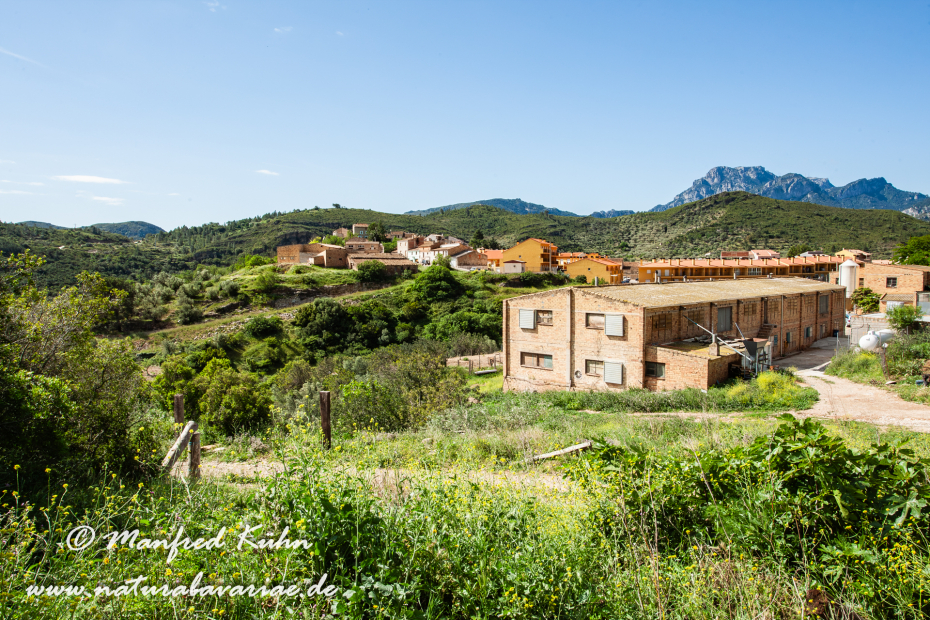 Ebrotal (Spanien)_0103