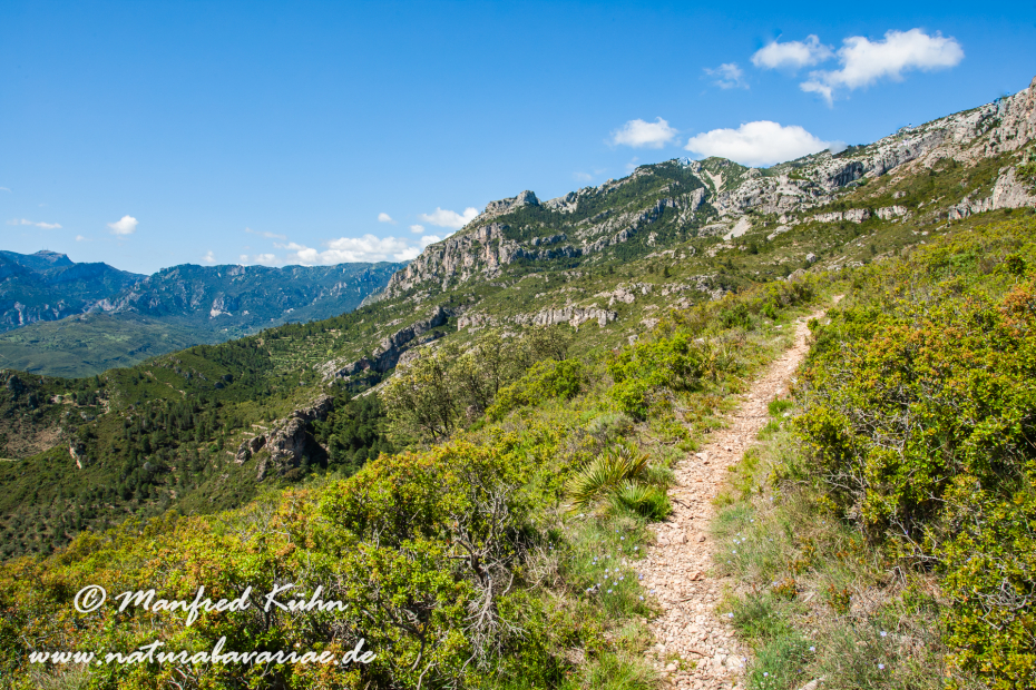 Ebrotal (Spanien)_0106