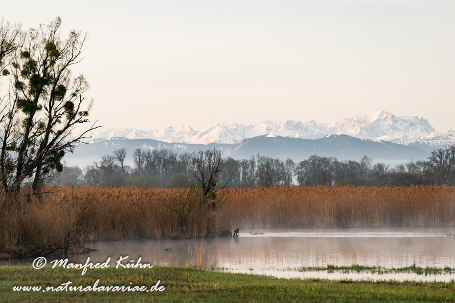 Ammersee-Südufer (BAY_LKR_LL)_0002