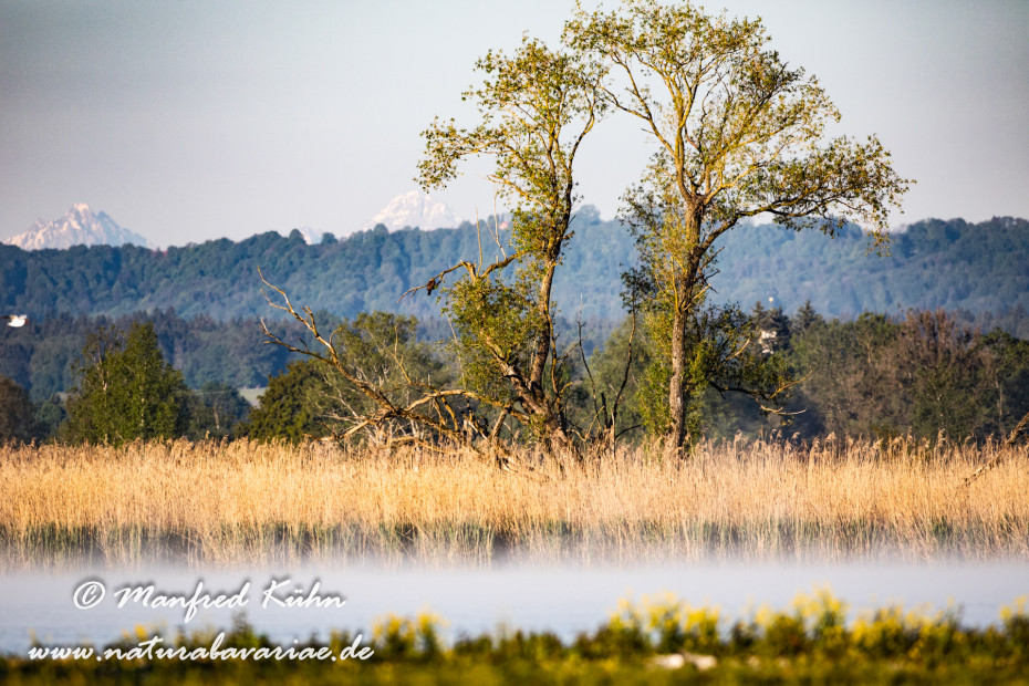 Ammersee-Südufer (BAY_LKR_LL)_0011