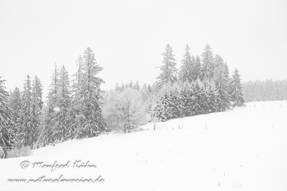 Peißenberg_Hoher (BAY_LKR_Weilheim-Schongau)_0002