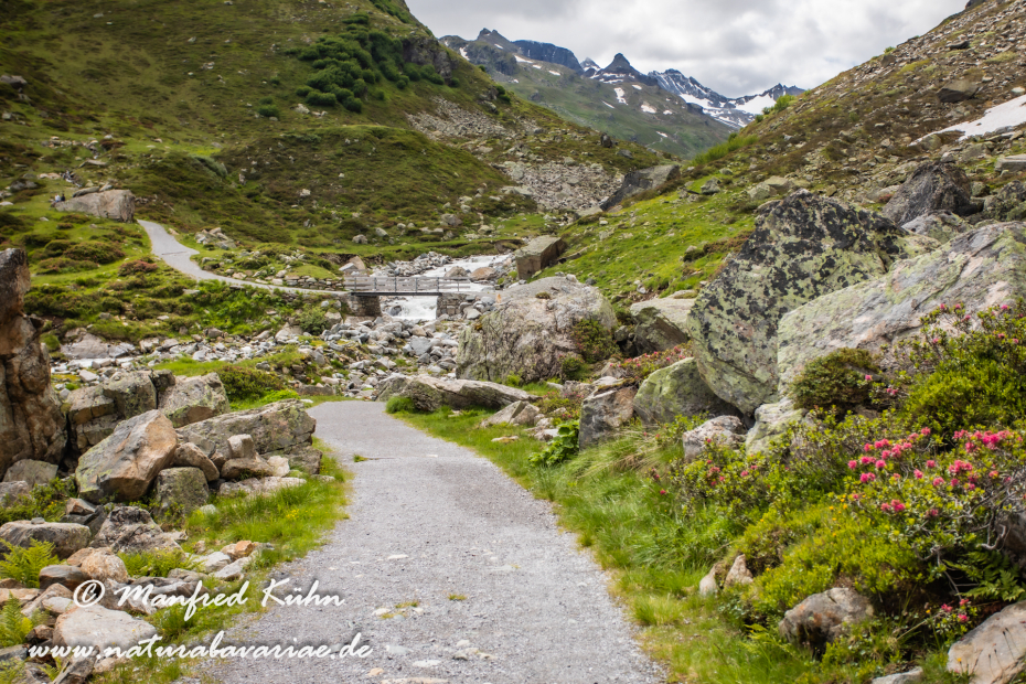 Bieler Höhe (Österreich)_0034