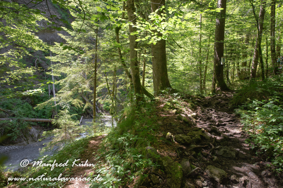Bürser Schlucht (Österreich)_0004