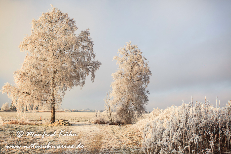 Eschenried (BAY_LKR_DAH)_0028