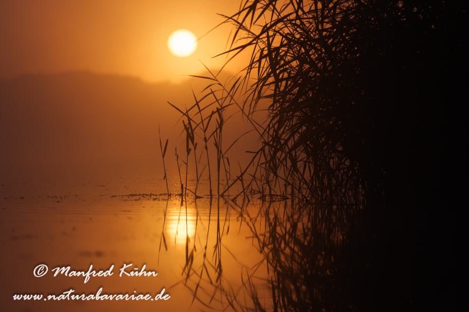 Amper_Sonnenaufgang (BAY_LKR_DAH)_0015