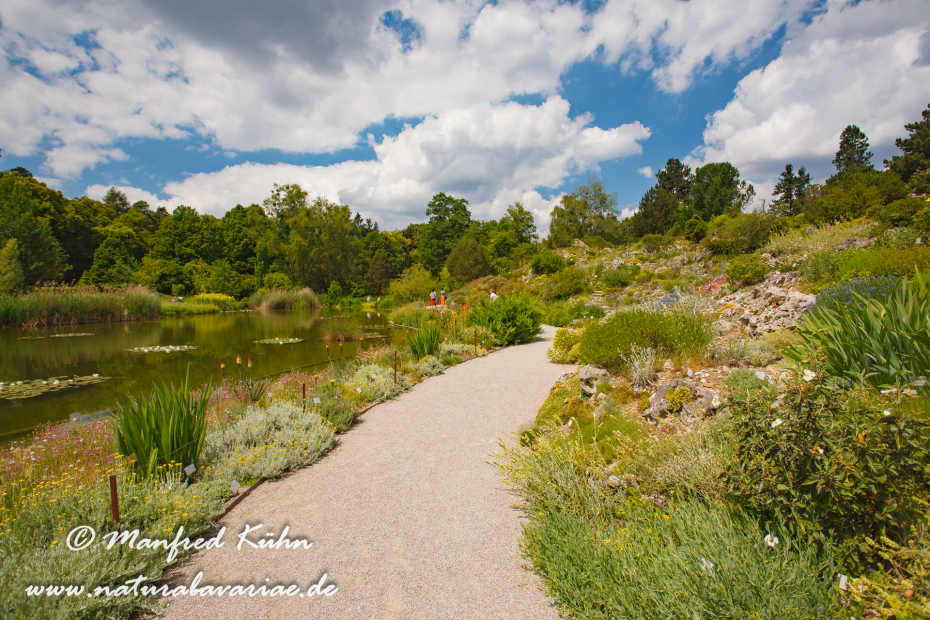 Botanischer_Garten (BAY_LKR_M)_0008