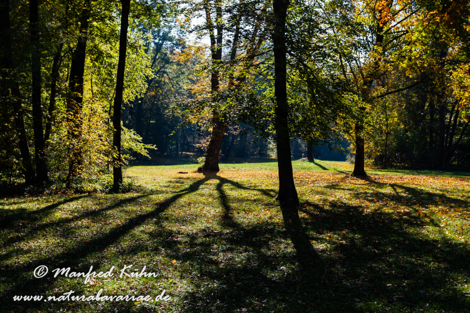 Englischer_Garten (BAY_LKR_M)_0020