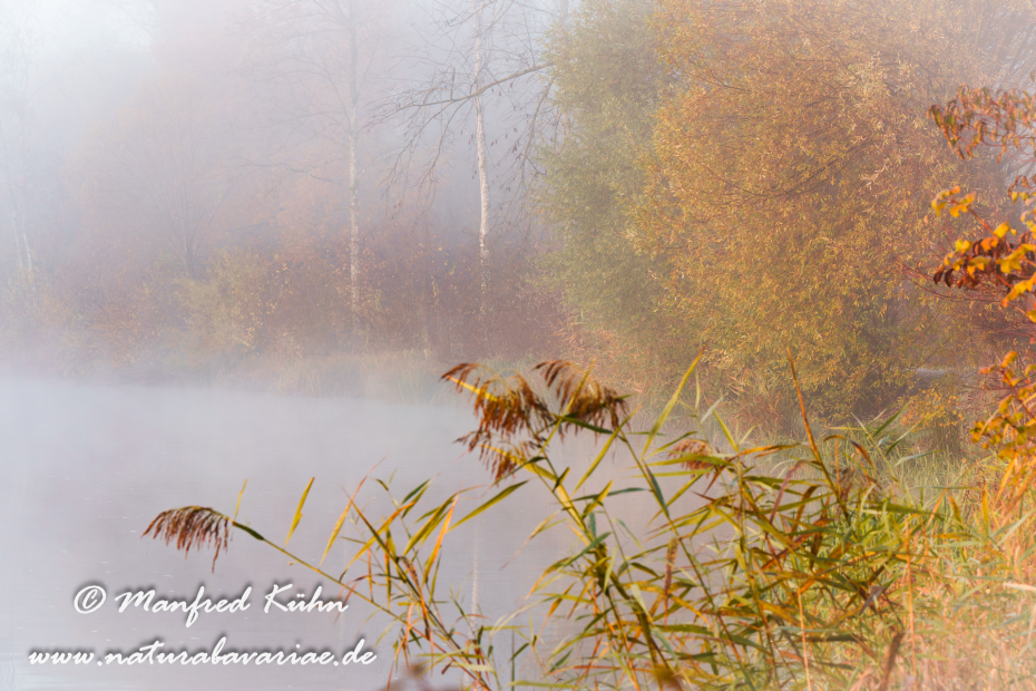 Amper_Herbst (BAY_LKR_DAH)_0010