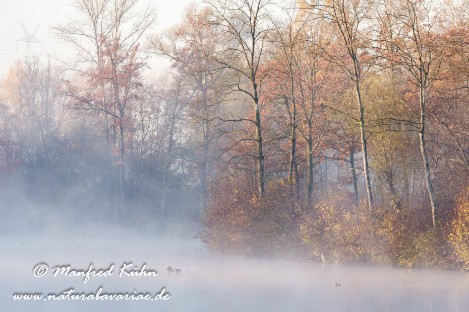 Amper_Herbst (BAY_LKR_DAH)_0018