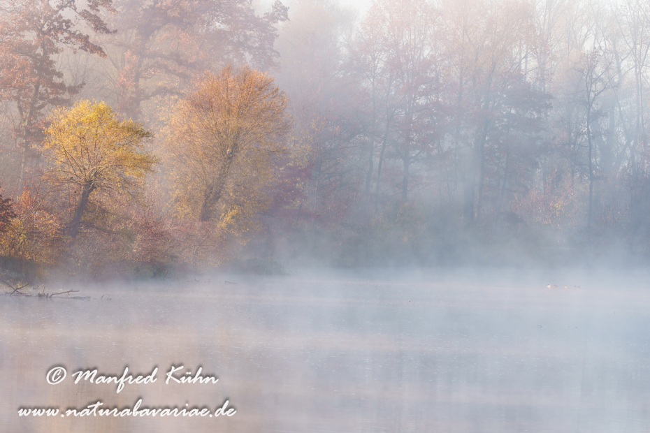 Amper_Herbst (BAY_LKR_DAH)_0023