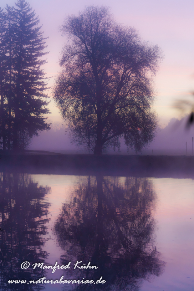 Amper_Sonnenaufgang (BAY_LKR_DAH)_0020