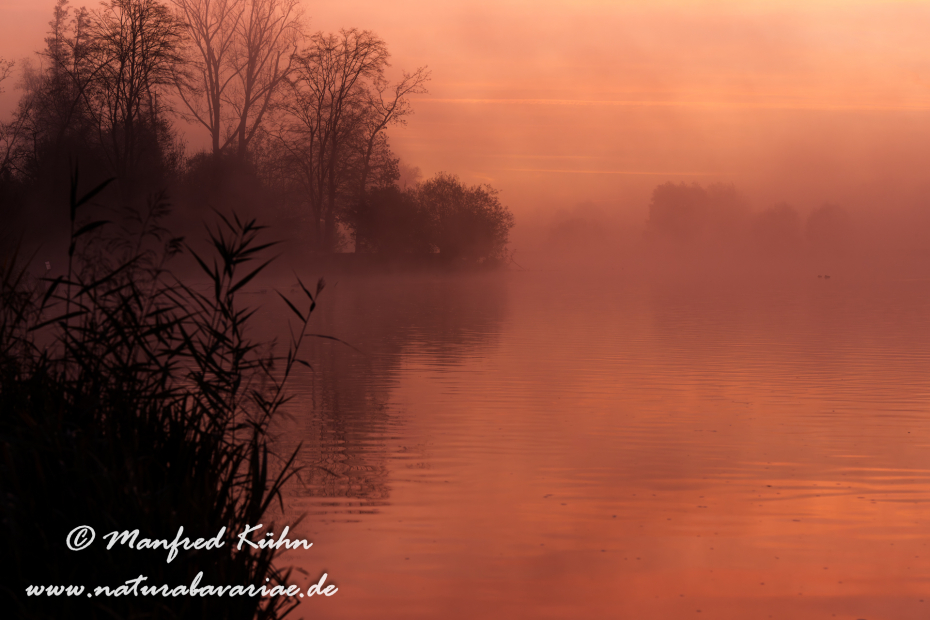 Amper_Sonnenaufgang (BAY_LKR_DAH)_0022