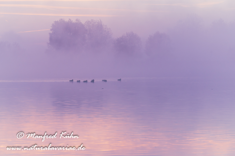 Amper_Sonnenaufgang (BAY_LKR_DAH)_0026