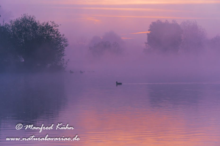 Amper_Sonnenaufgang (BAY_LKR_DAH)_0030