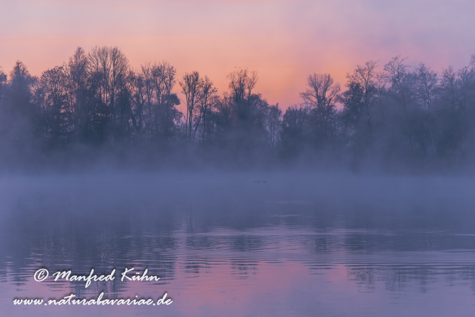 Amper_Sonnenaufgang (BAY_LKR_DAH)_0035