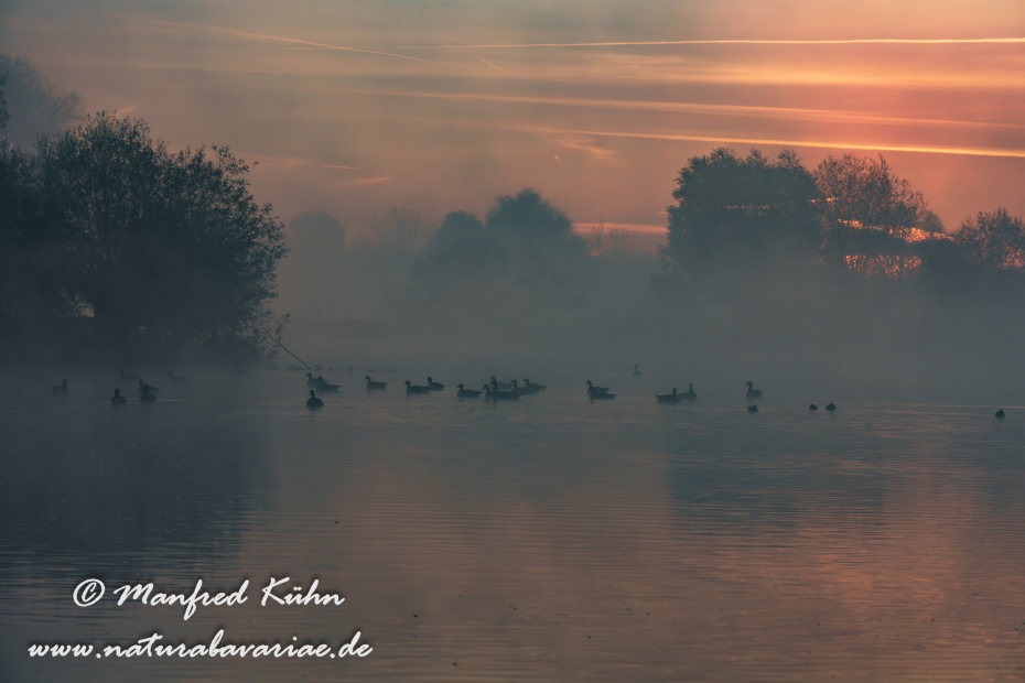 Amper_Sonnenaufgang (BAY_LKR_DAH)_0037