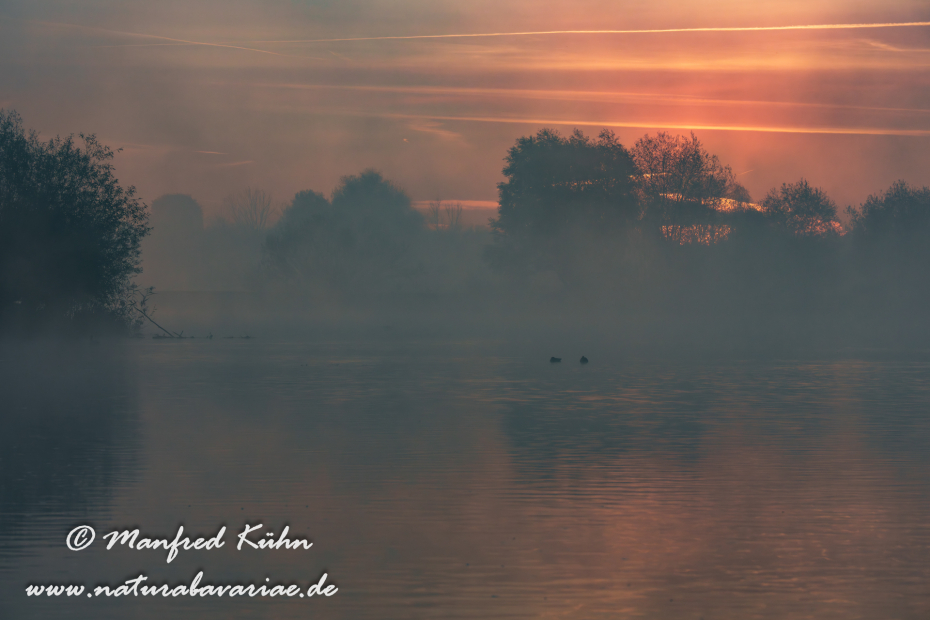 Amper_Sonnenaufgang (BAY_LKR_DAH)_0038