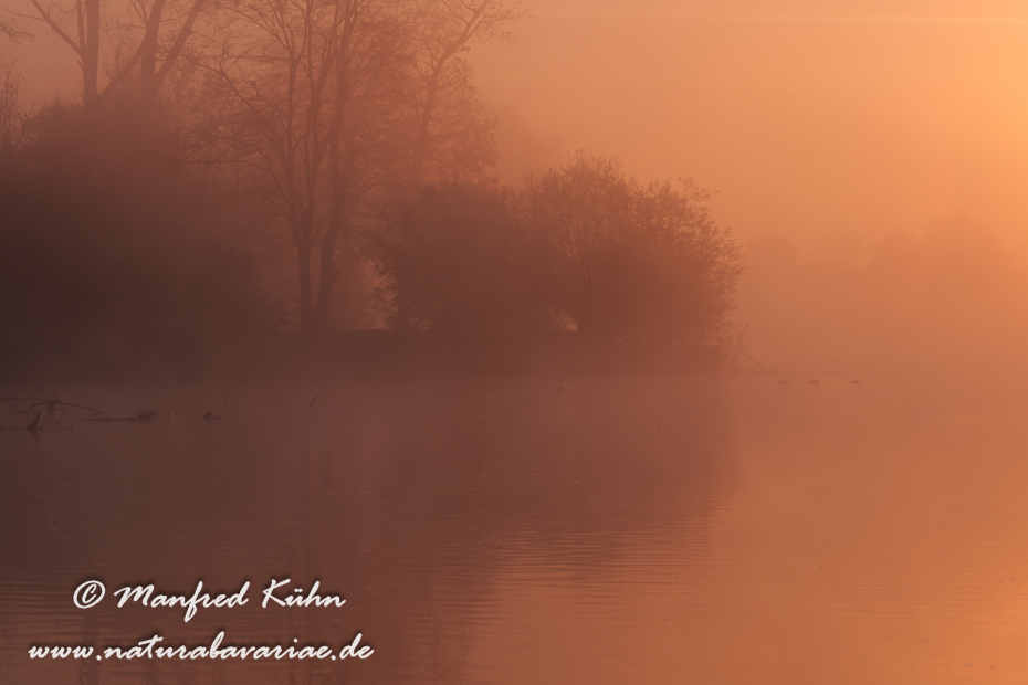 Amper_Sonnenaufgang (BAY_LKR_DAH)_0050