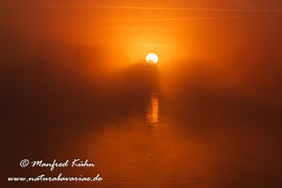 Amper_Sonnenaufgang (BAY_LKR_DAH)_0052