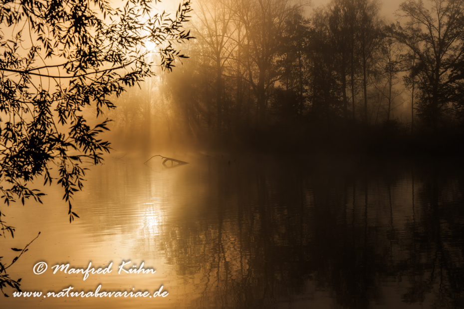 Amper_Sonnenaufgang (BAY_LKR_DAH)_0085