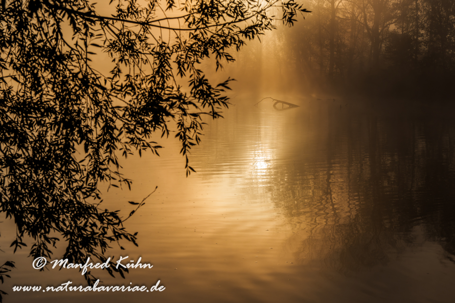 Amper_Sonnenaufgang (BAY_LKR_DAH)_0086