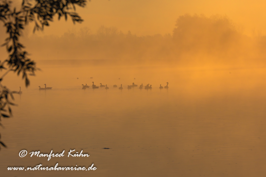 Amper_Sonnenaufgang (BAY_LKR_DAH)_0088