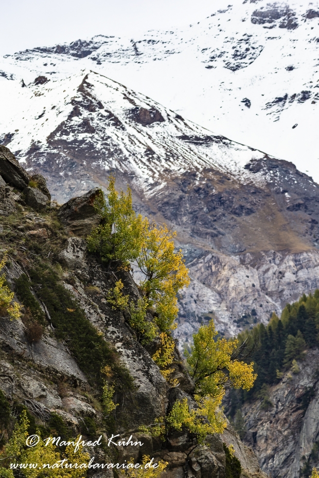 Aosta (Valnontey)_0204