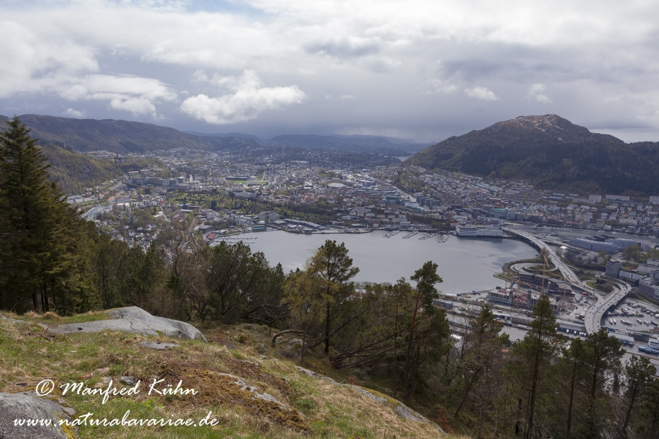 Bergen (Norwegen)_0068