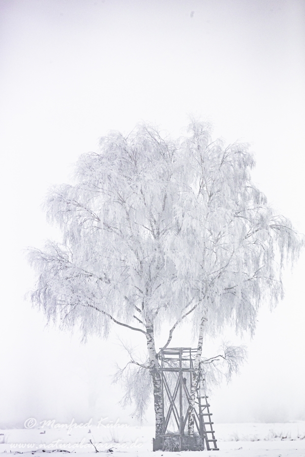 Winter (Nebel)_0001