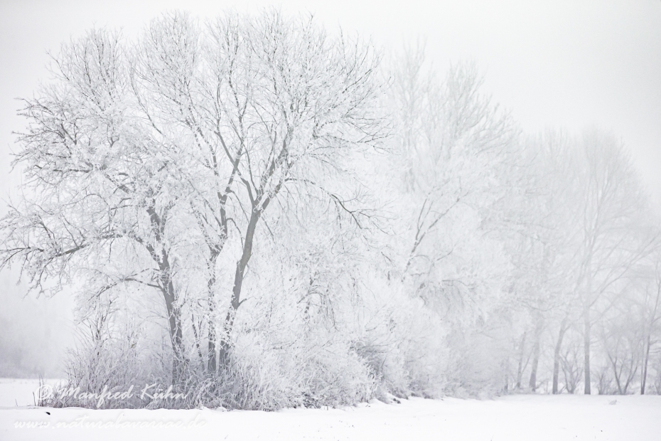 Winter (Nebel)_0004