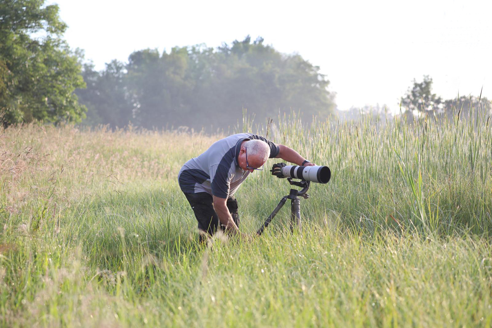 Manfred Kühn bei der Naturfotografie in einer Feuchtwiese